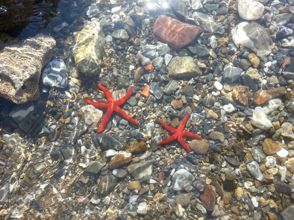 Cala Dei Mori Apart otel Livorno Dış mekan fotoğraf